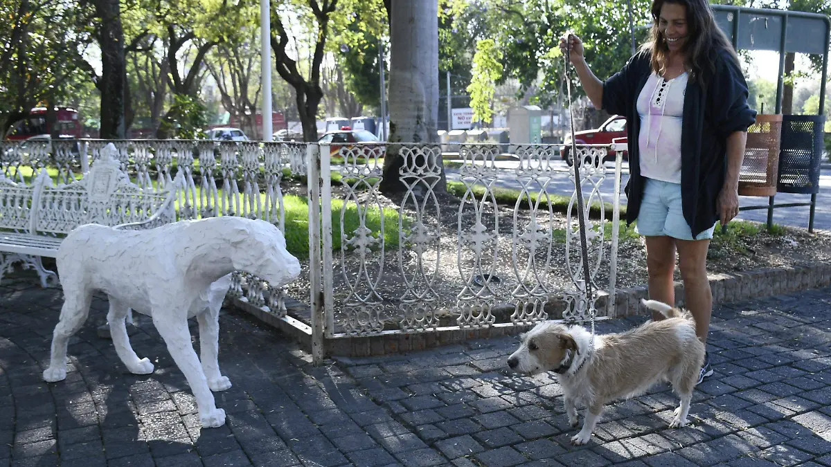 Paseo Perrón